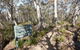 Cascades Walking Track And Viewing Platform - thumb 0