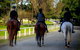 Centennial Stables - thumb 0