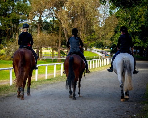Centennial Stables - Accommodation Gladstone 0
