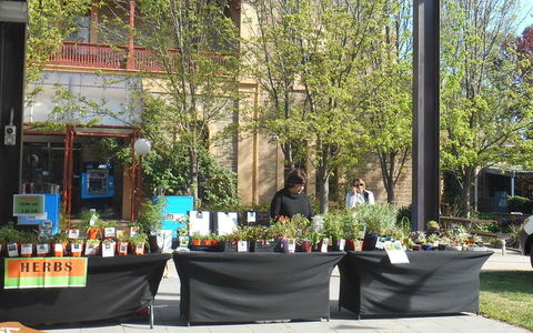 Clare Show Market - Accommodation Gladstone 0