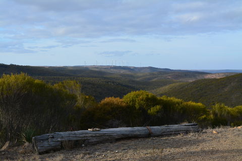Cleve Hills Scenic Drive & Lookout - Accommodation Gladstone 0