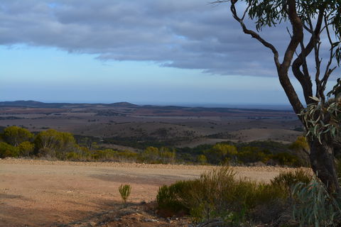 Cleve Hills Scenic Drive & Lookout - Accommodation Gladstone 1