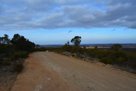 Cleve Hills Scenic Drive & Lookout - Accommodation Gladstone 2