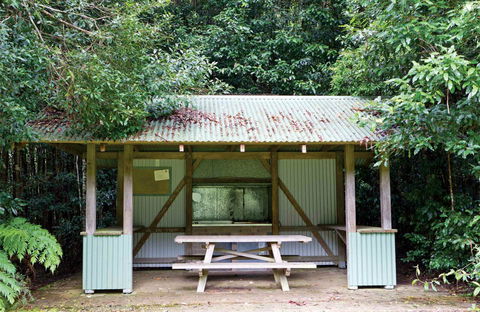 Coachwood Picnic Area - Accommodation Gladstone 0