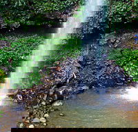 Crystal Shower Falls Walk - Accommodation Gladstone