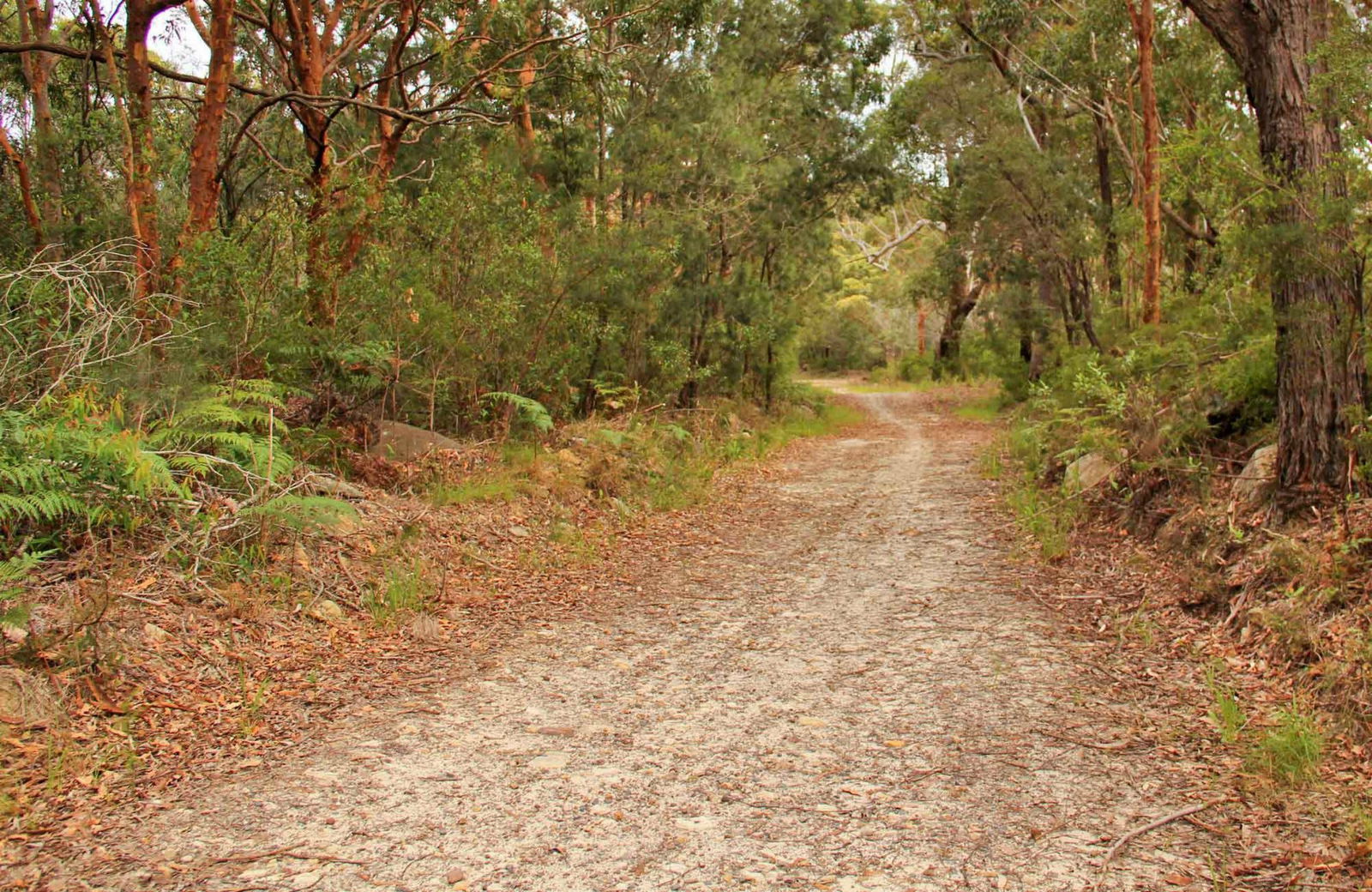 Killcare Heights NSW Accommodation Gladstone