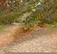 Daleys Point Walking Track - Accommodation Gladstone