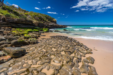 Dawsons Island Beach - Accommodation Gladstone 0