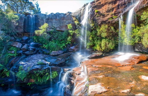 Dharawal National Park - Accommodation Gladstone 0