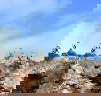 Dirk Hartog Island National Park - Accommodation Gladstone