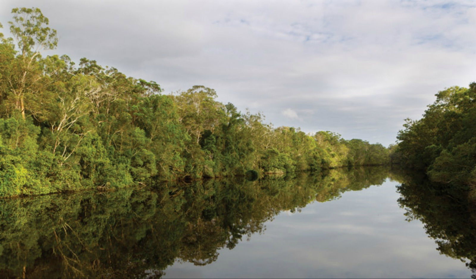 The Freshwater NSW Accommodation Gladstone