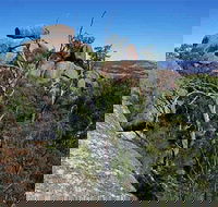 Evans Crown Nature Reserve - Accommodation Gladstone