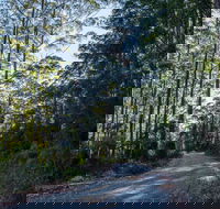 Hastings Forest Way Touring Route - Accommodation Gladstone