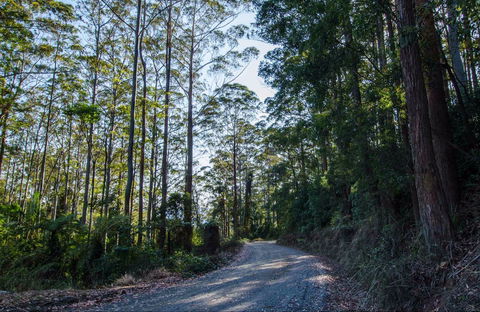 Hastings Forest Way Touring Route - Accommodation Gladstone 0