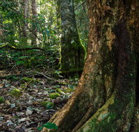 Hidden Treasure Track - Accommodation Gladstone