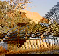 Illamurta Springs Conservation Reserve - Accommodation Gladstone
