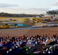 Ipswich Motorsport Precinct - Accommodation Gladstone
