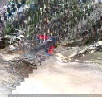 Jolly Nose Mountain Bike Park - Accommodation Gladstone