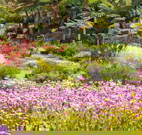 Jurassic Garden AR Experience - Accommodation Gladstone