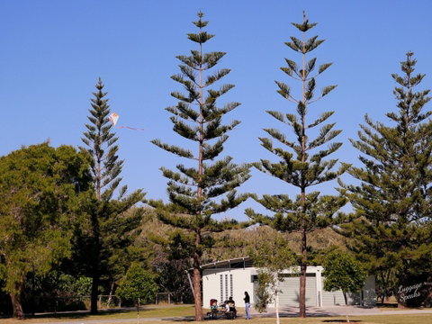 Kurrawa Park - Accommodation Gladstone 0