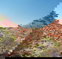 Lark Quarry Conservation Park - Accommodation Gladstone