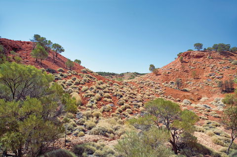 Lark Quarry Conservation Park - Accommodation Gladstone 0
