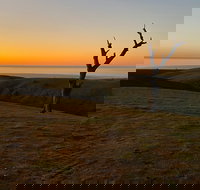 Lessismore Farm Afternoon Farmer