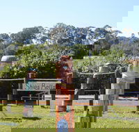 Maryboroughs Bollards - Accommodation Gladstone