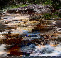 Mothar Mountain Rockpools - Accommodation Gladstone