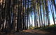 Mountain Bike Trails Tumbarumba - thumb 0