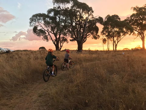 Mountain Bike Trails Tumbarumba - Accommodation Gladstone 2