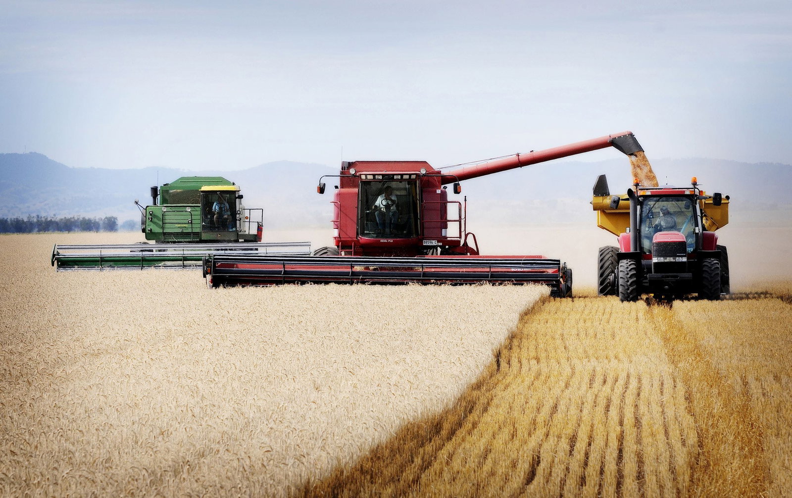 Napier Lane ACT Accommodation Gladstone