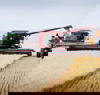 Mullaley - Accommodation Gladstone