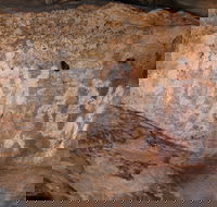 Ngamadjidj Shelter - Wartook Valley - Accommodation Gladstone