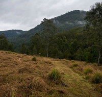 Nowendoc National Park - Accommodation Gladstone