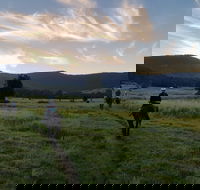 Numinbah Valley Adventure  Camping - Accommodation Gladstone