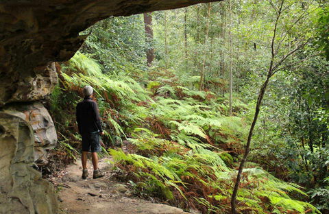 Old Great North Road Bike Ride - Accommodation Gladstone 0