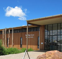 Pilliga Forest Discovery Centre - Accommodation Gladstone