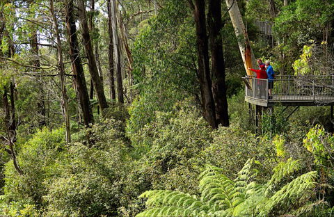 Pipers Lookout - Accommodation Gladstone 0