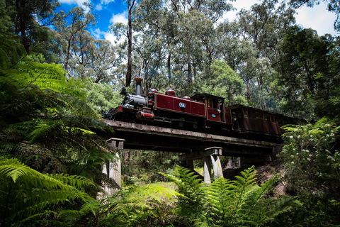 Puffing Billy Railway - Accommodation Gladstone 0