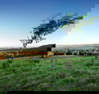 Ravensbourne National Park - Accommodation Gladstone