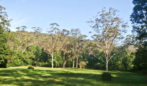 Red Cedar Flat Picnic Area - Accommodation Gladstone 0