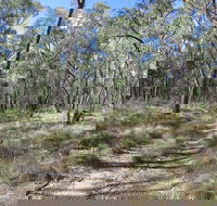 Reef Hills State Park - Accommodation Gladstone