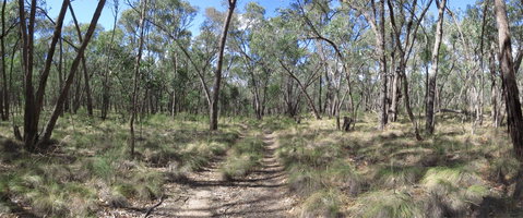 Reef Hills State Park - Accommodation Gladstone 0