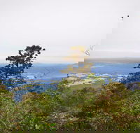 Slingsbys Trail and Syndicate Ridge Track - Accommodation Gladstone