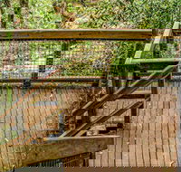 Somersby Falls walking track - Accommodation Gladstone