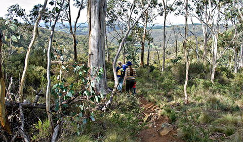Summits Walking Track - Accommodation Gladstone 0