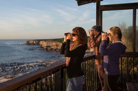 Sutherland Shire - Accommodation Gladstone 0