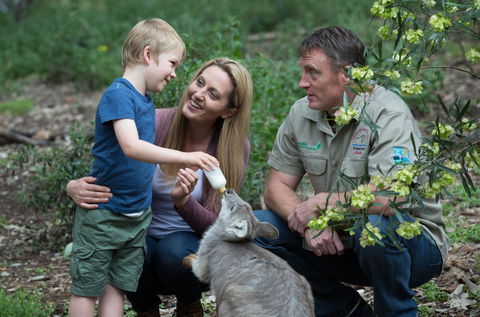 Tamworth Marsupial Park And Adventure Playground - Accommodation Gladstone 0