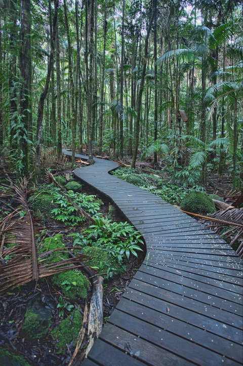 The Channon, Protesters Falls, Nimbin And Mount Nardi - Accommodation Gladstone 0